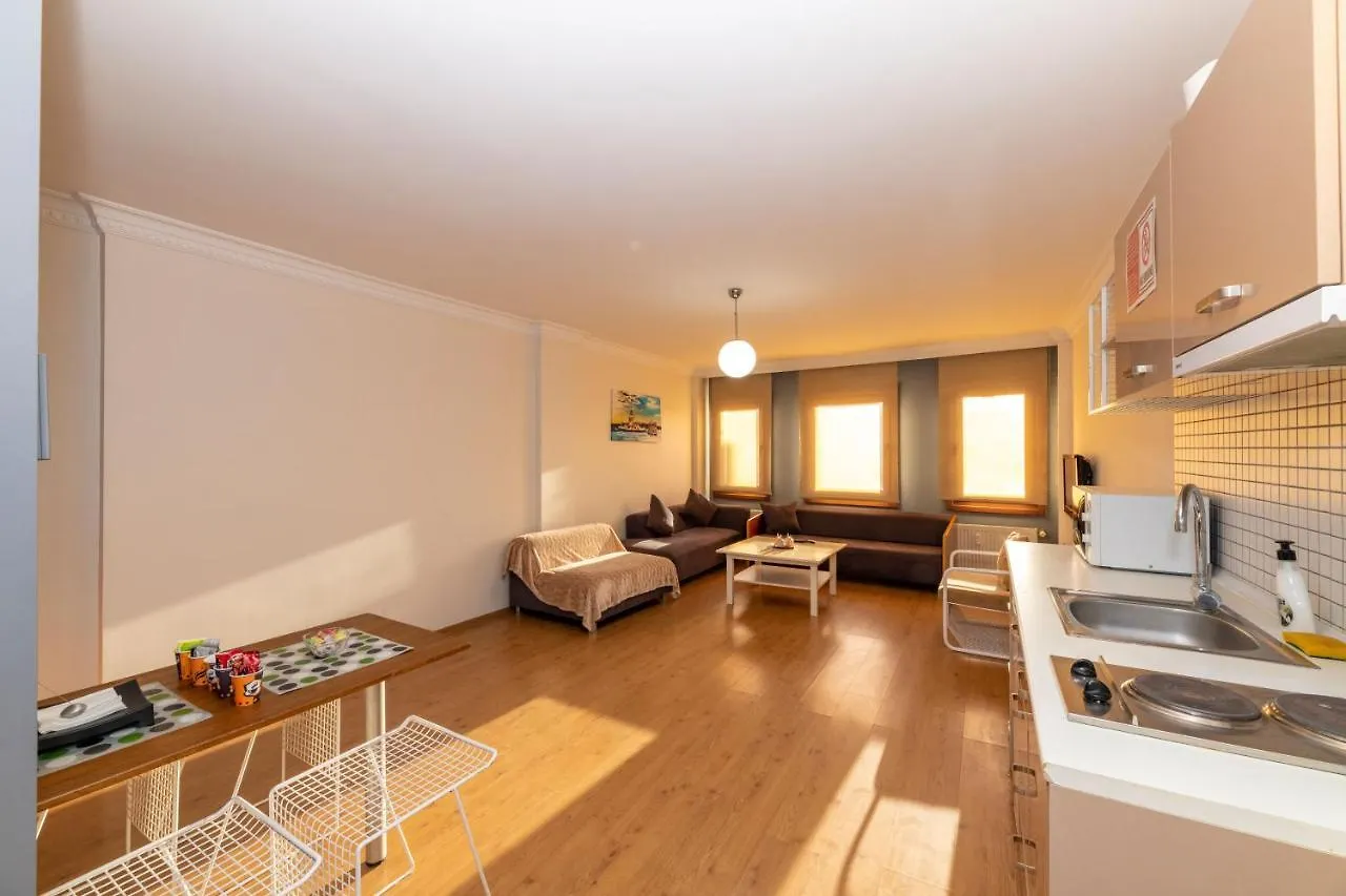 Opera House Hotel Istanbul 2*,